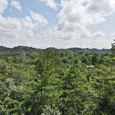 Pet-Friendly Smoky Mountain Retreat With Game Room! Севьервилл Экстерьер фото